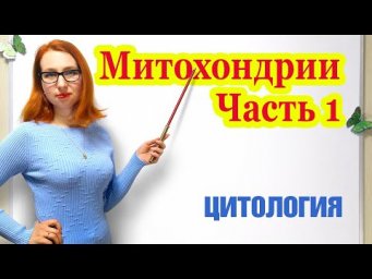 Митохондрии. Часть 1.