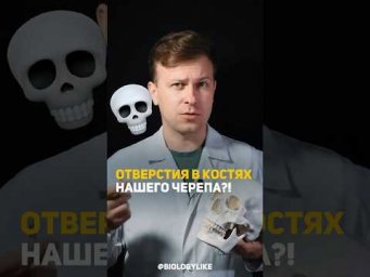 Отверстия в костях черепа?! 