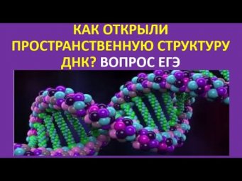 39. Как открыли пространственную структуру ДНК? Вопрос ЕГЭ.