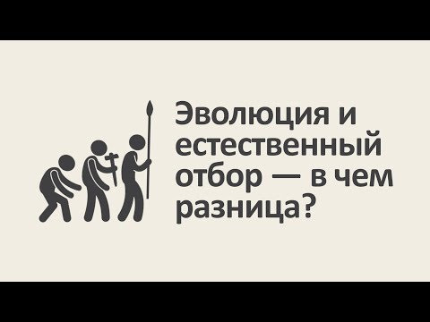 Эволюция и естественный отбор &mdash; в чем разница? [MinutePhysics]