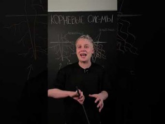 Корневые системы | Биология с Яном
