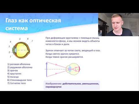 Глаз, как оптическая система. Свет, как электромагнитная волна I Часть 84 I Физика ОГЭ Глаз, как оптическая система. Свет, как электромагнитная волна I Часть 84 I Физика ОГЭ