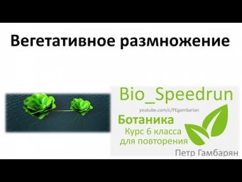 12. Вегетативное размножение (Speedrun ботаника 6 класс, ЕГЭ, ОГЭ 2021)