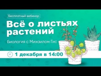 ЛИСТ | ОГЭ ЕГЭ БИОЛОГИЯ