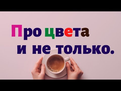 Испанский язык. Грамматика и лексика в цветах.