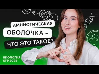 Амниотическая оболочка - что это такое? | Биология ЕГЭ с Альбиной Амировой
