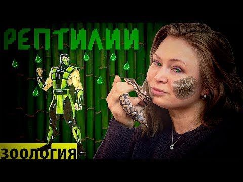 Класс Пресмыкающиеся (Рептилии).