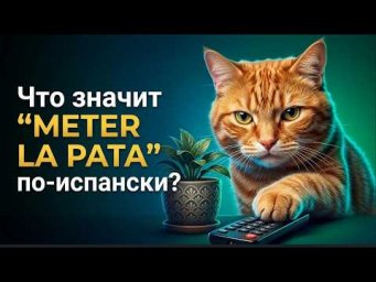 Что значит "Meter la pata" по-испански