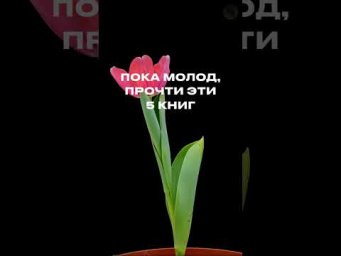 ЧТО ПОЧИТАТЬ? #обществознание #егэ #школа #саморазвитие #обществознаниеегэ
