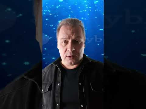 Поздравление с Новым Годом от Дмитрия Ершова