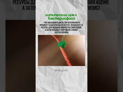 Подписывайся на мой канал и готовься к ЕГЭ по биологии со мной #биология #биологияегэ #сотка Подписывайся на мой канал и готовься к ЕГЭ по биологии со мной #биология #биологияегэ #сотка