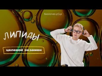 ЛИПИДЫ. КЛАССИФИКАЦИЯ, СТРОЕНИЕ И ФУНКЦИИ | Целевой экзамен