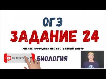 ОГЭ Биология Разбор Задания 24 Рохлов 2019