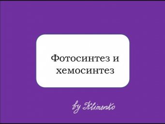Фотосинтез и хемосинтез (Пластический обмен)