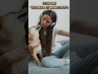 #ОтличиеЧеловекаотЖивотного #егэ #огэ #репетитор
