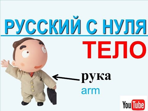 Русский с нуля. Части тела на русском для иностранцев. ТЕЛО. russian language lessons