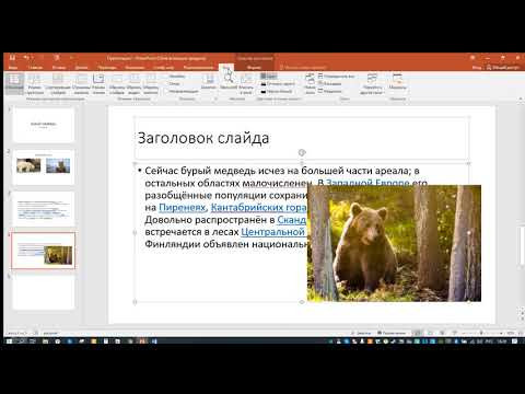 Как создать презентацию Информатика РешуОГЭ Алтун Денис Д255