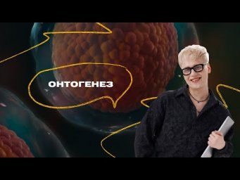 Демо-курс | Занятие 1 | Онтогенез