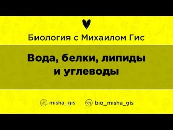 Вода, белки, липиды и углеводы | ЕГЭ ОГЭ Биология с Михаилом Гис