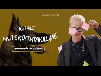 КЛАСС МЛЕКОПИТАЮЩИЕ | Целевой экзамен