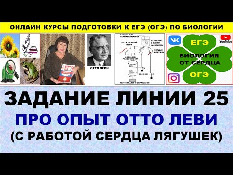 ЗАДАНИЕ ЛИНИИ 25 ПРО ОПЫТ ОТТО ЛЕВИ С ЛЯГУШКАМИ ЗАДАНИЕ ЛИНИИ 25 ПРО ОПЫТ ОТТО ЛЕВИ С ЛЯГУШКАМИ
