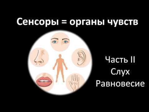 11.2 Сенсоры часть II (8 класс) - биология, подготовка к ЕГЭ и ОГЭ 2019