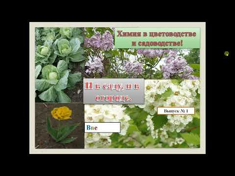 1.  И в саду, и в огороде.  Введение.