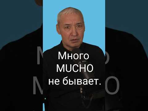 Испанский язык. В чём разница между MUCHO и русским &laquo;много&raquo;? 
