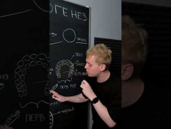 ЭМИБРИОГЕНЕЗ | тгк: Химбио с Яном Менеделеевым