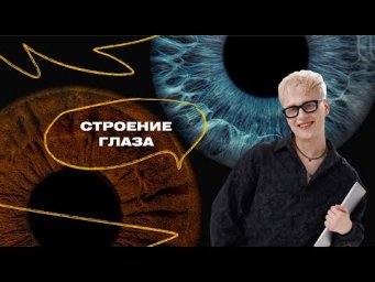 Демо-курс | Занятие 2 | Сенсорные системы. Строение глаза