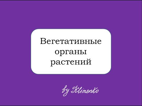 Вегетативные органы растений. Корень, стебель, лист, почка. Вегетативные органы растений. Корень, стебель, лист, почка.