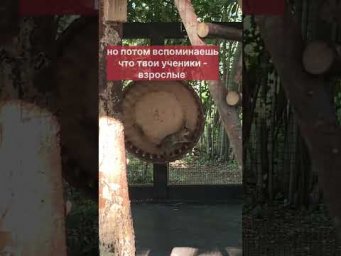 бесплатная неделя испанского для начинающих. ссылка в шапке канала #испанскийонлайн