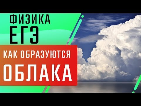Как образуются облака и туман| ЕГЭ Физика | Николай Ньютон