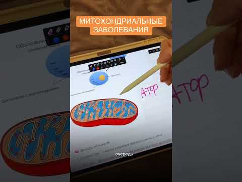 Митохондриальные заболевания