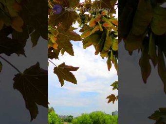 Чому небо блакитне? ☁️