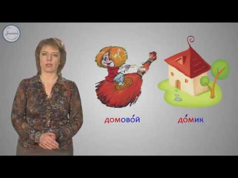 Корень слова онлайн русский язык
