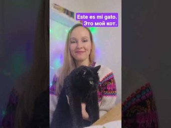 Это мой кот с характером #испанскийязык #кот