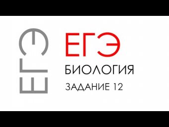 ЕГЭ биология 2020 Задание 12 Рохлов разбор