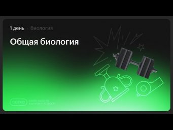 НОКАУТ по биологии | Занятие №1 | Онлайн-школа СОТКА