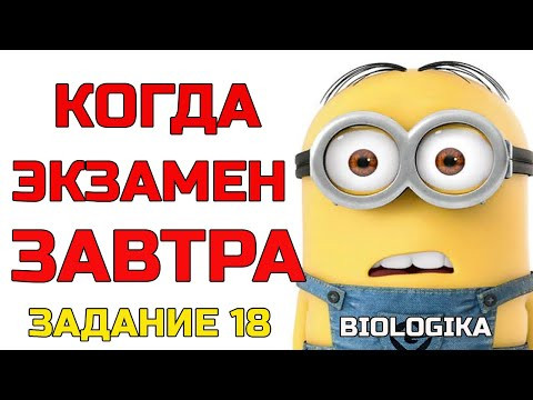 ОГЭ Биология Разбор Задания 18 Рохлов 2019