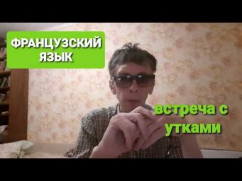 Французский язык. Встреча с утками.