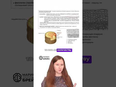ГОДИЧНЫЕ кольца в ЕГЭ #биологияегэ #биология