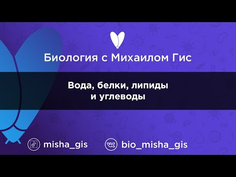 Химический состав клеток. Белки, липиды и углеводы | ЕГЭ ОГЭ Биология с Михаилом Гис
