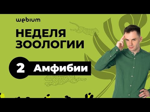 День 2. Амфибии. Биологический сериал | ЕГЭ Биология 2020 | Даниил Дарвин День 2. Амфибии. Биологический сериал | ЕГЭ Биология 2020 | Даниил Дарвин