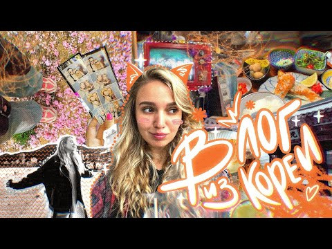 Влог из Кореи | История с Элей Смит