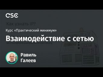 Лекция 6. Взаимодействие с сетью