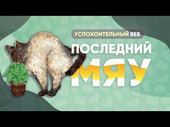 Последний мяу: финальный курс. ЕГЭ 2026: русский язык. УСПОКОИТЕЛЬНЫЙ ВЕБ [ЗАПИСЬ БУДЕТ]
