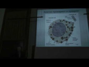Механизмы адаптации животных к экстремальным температурам. Рубцов А.М. 11.04.2015 часть 1 edit