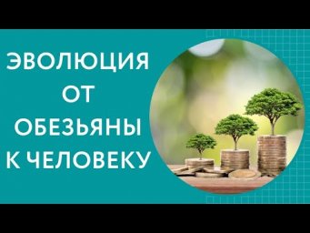 Эволюция человека. Человек произошел от обезьяны?