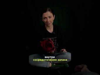 Почему цветы такие яркие? 